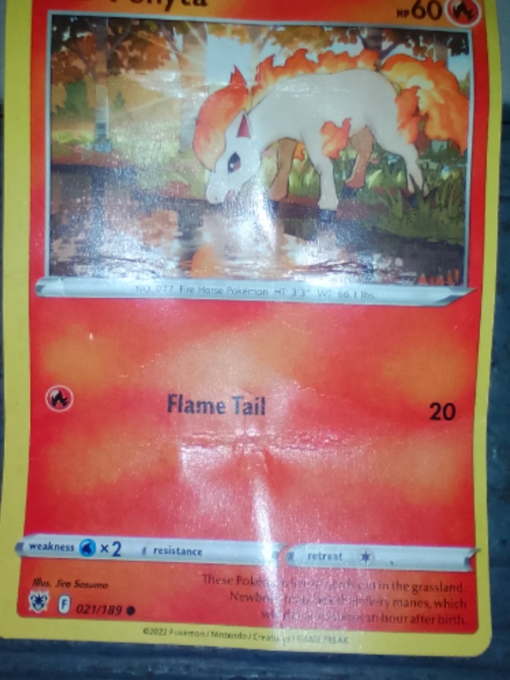 Pokemon Flame Tail